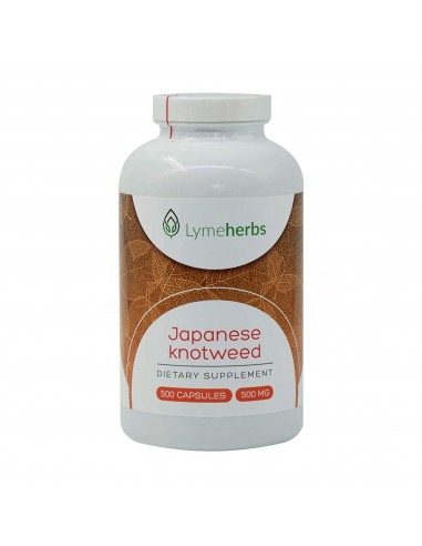 Japanische Staudenknöterich standardisiert auf 10 % Resveratrol, 500 mg, 500 Kapseln